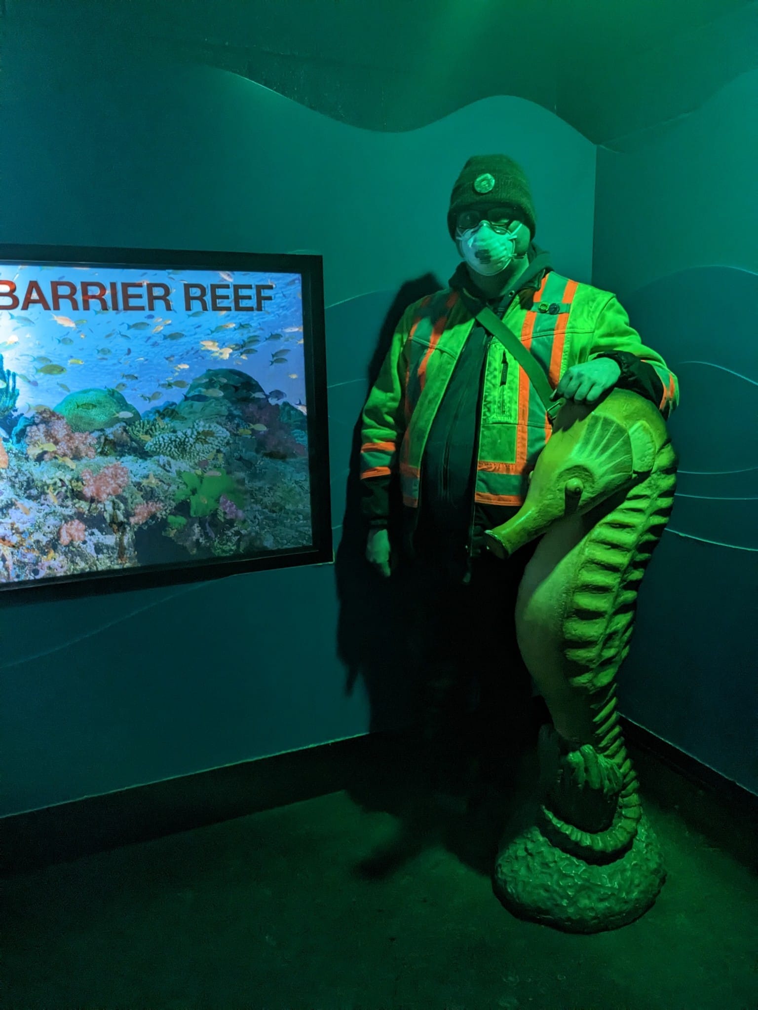 A man in a toque, N95 mask and high visibility coat stands against a wall that says Great Barrier Reef on it, he is next to a statue of a seahorse that is as tall as his chest